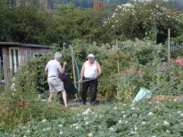 2005ToiletProject018