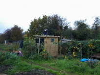 Toilet Refurb 2015 24