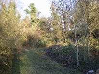IMGP3218