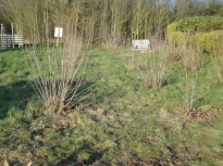 DSC00101